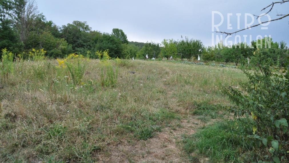 MAĎARSKO - PANYOK PEKNÝ POZEMOK 1.040 M2.