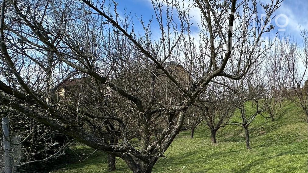 MAĎARSKO - FORRÓ PEKNÝ STAVEBNÝ POZEMOK VHODNÝ NA VÝSTAVBU RD 814 M2.
