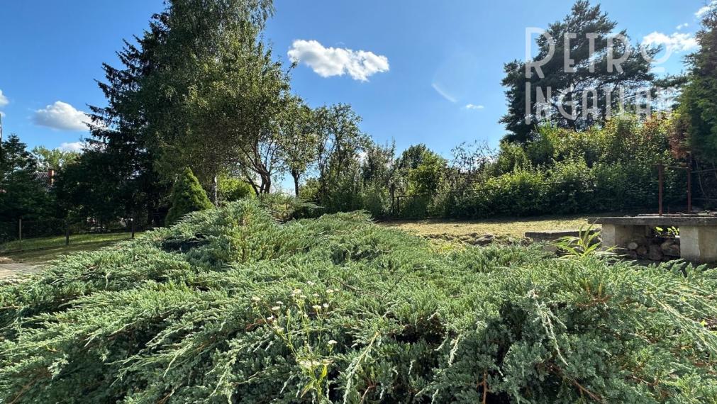 NOVÁ CENA - MAĎARSKO - JAZERO RAKACA - MUROVANÁ CHATA - PRI JAZERE S TERASOU.