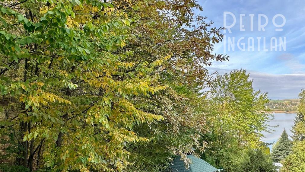 MAĎARSKO - JAZERO RAKACA - 4 IZBOVÁ ZARIADENÁ ZRUBOVÁ POSCHODOVÁ CHATA PRI JAZERE S TERASOU.