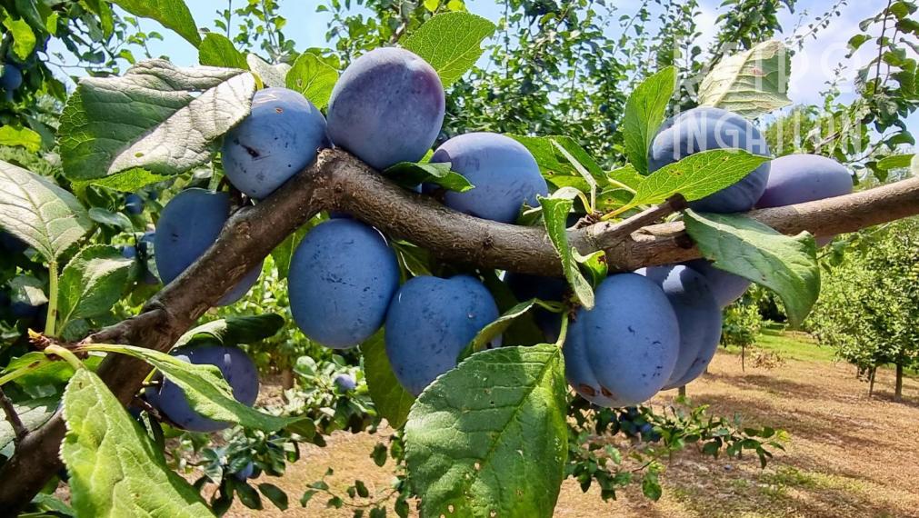 MAĎARSKO - PRI MISKOLCI - 3 IZBOVÁ POSCHODOVÁ CHATA 60 M2, TOP LOKALITA