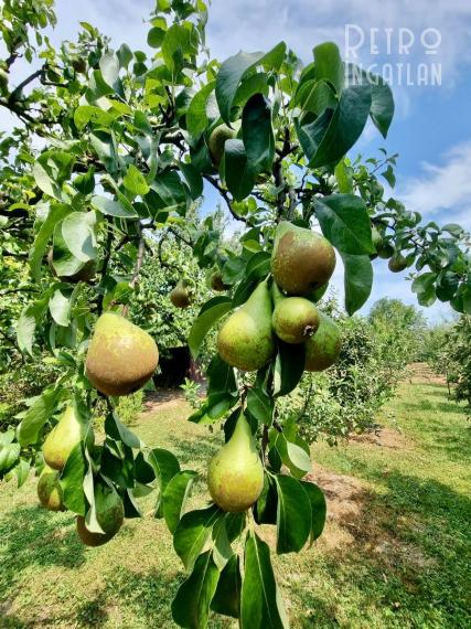 MAĎARSKO - PRI MISKOLCI - 3 IZBOVÁ POSCHODOVÁ CHATA 60 M2, TOP LOKALITA