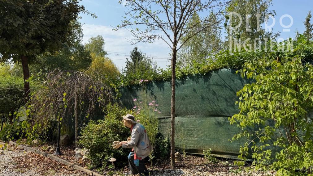 MAĎARSKO - JAZERO RAKACA - POSCHODOVÁ 4 IZBOVÁ CHATA, KUCHYŇA, PRI JAZERE S TERASOU.