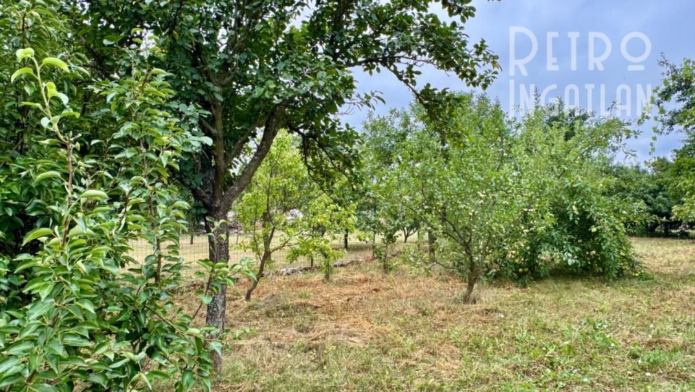 MAĎARSKO - FORRÓ / ENCS - ABÚJDEVECSER  - 3 IZBOVÝ DOM IHNEĎ OBÝVATEĽNÝ