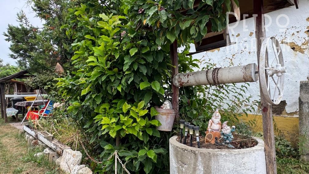 MAĎARSKO - FORRÓ / ENCS - ABÚJDEVECSER  - 3 IZBOVÝ DOM IHNEĎ OBÝVATEĽNÝ