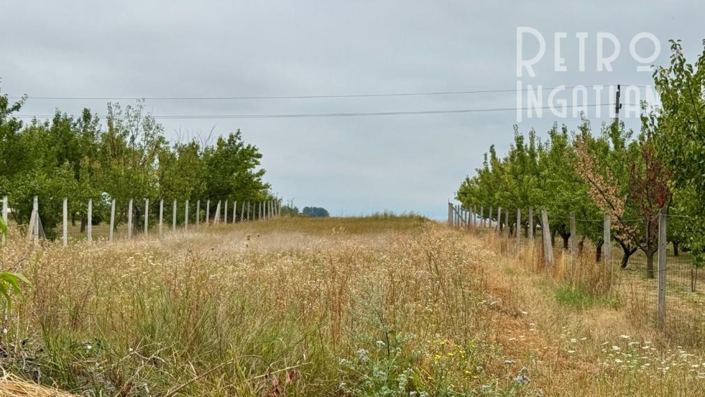 MAĎARSKO - FORRÓ / ENCS - ABÚJDEVECSER  - 3 IZBOVÝ DOM IHNEĎ OBÝVATEĽNÝ