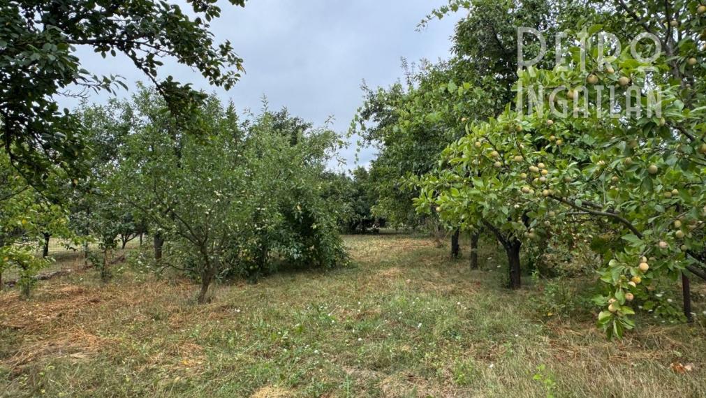 MAĎARSKO - FORRÓ / ENCS - ABÚJDEVECSER  - 3 IZBOVÝ DOM IHNEĎ OBÝVATEĽNÝ