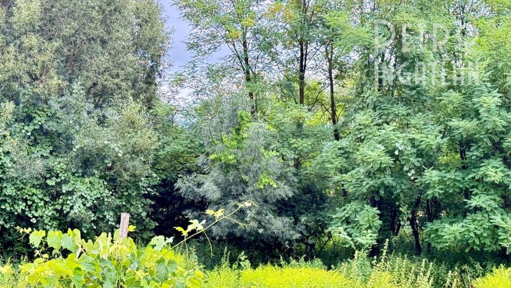 MAĎARSKO - TORNASZENTANDRAS 2 IZBOVÝ DOM - CHALUPA