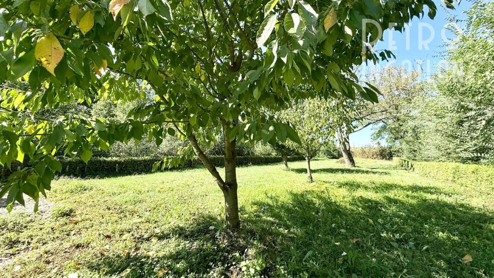 MAĎARSKO - MÉRA PEKNÝ GAZDOVSKÝ RD PO REKONŠTRUKCII.