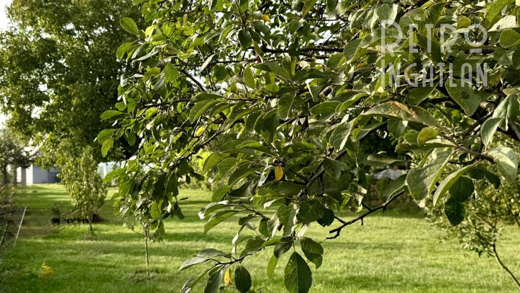 MAĎARSKO - TORNYOSNÉMETI STAVEBNÝ POZEMOK 600 M2 VŠETKY IS V DOSAHU.