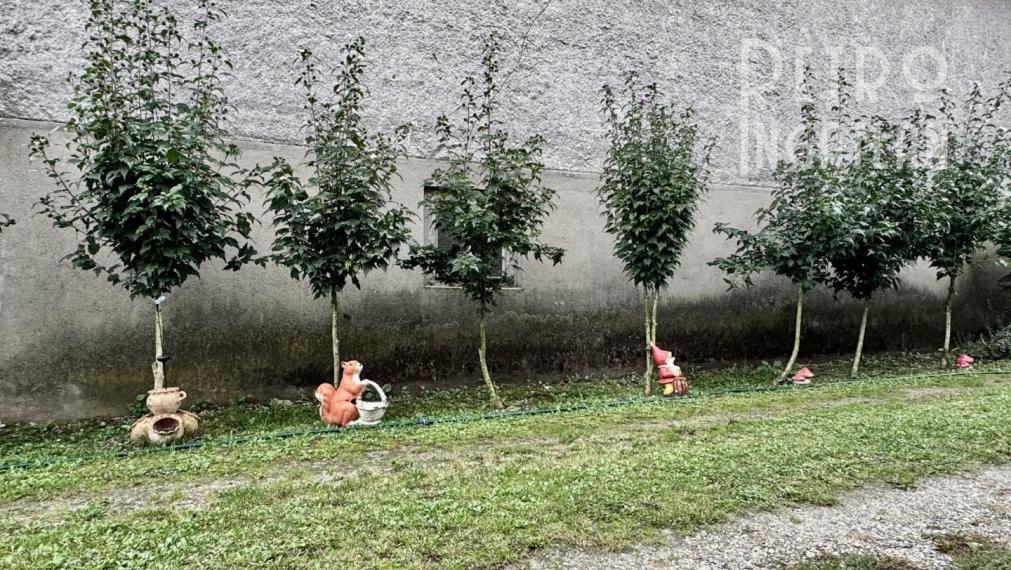 MAĎARSKO - MÁRTONYI - PEKNÝ 4 IZBOVÝ RD V KRÁSNEJ LOKALITE BLÍZKO JAZERA RAKACA.