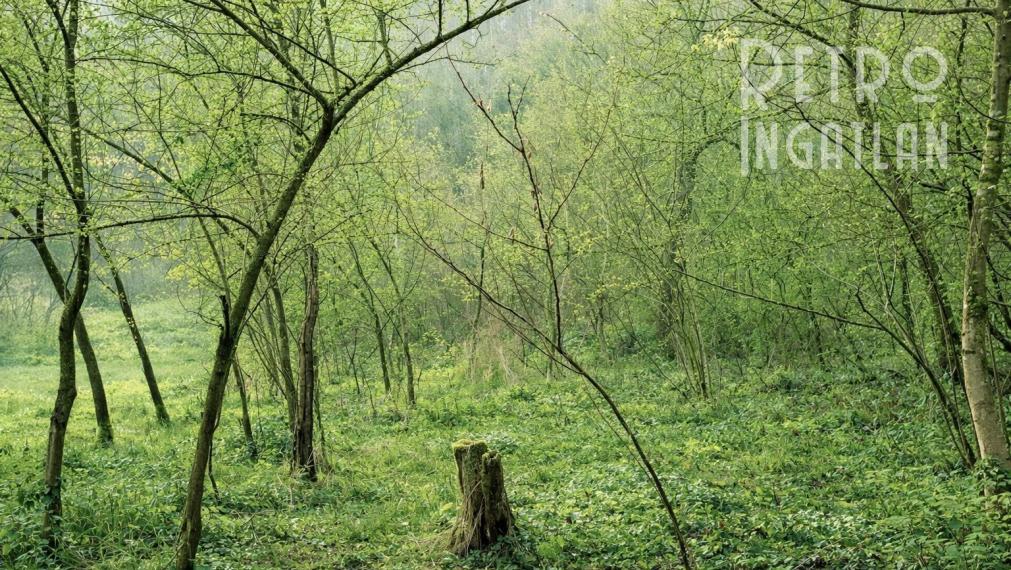 MAĎARSKO - PANYOK PEKNÝ STAVEBNÝ POZEMOK 833 M2