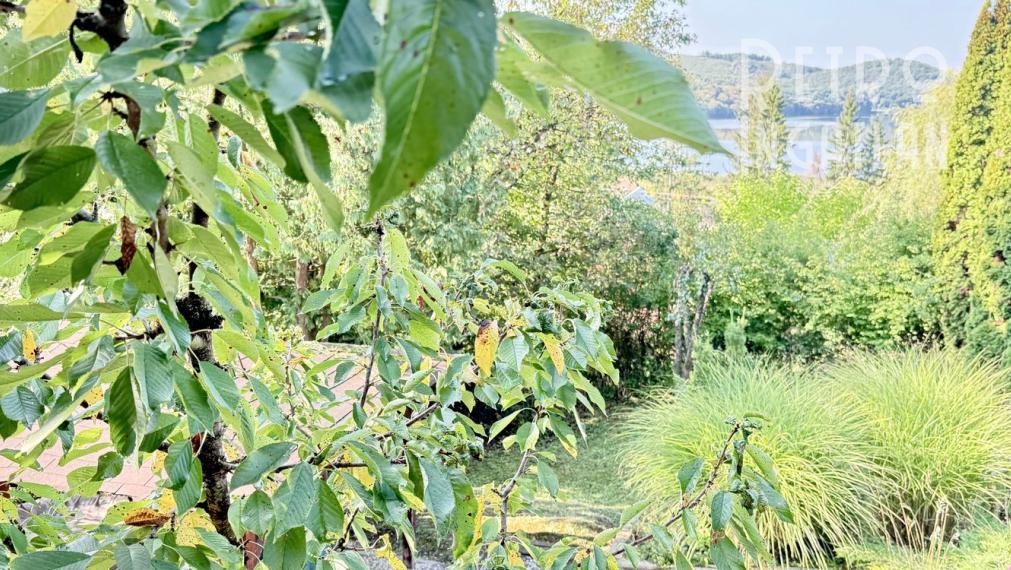 MAĎARSKO - JAZERO RAKACA - 4 IZBOVÁ CHATA, TERASA, VÍRIVKA.