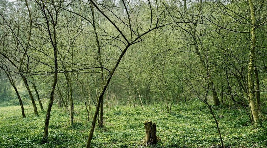 MAĎARSKO - PANYOK PEKNÝ STAVEBNÝ POZEMOK 833 M2