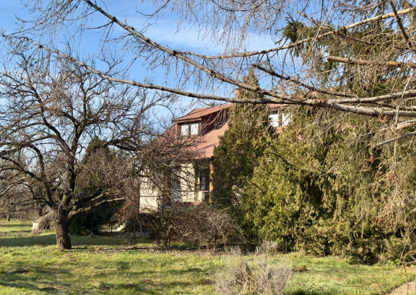 MAĎARSKO - GONC 6 IZBOVÝ POSCHODOVÝ RD S TERASOU, PIVNICOU, GARÁŽ, POZEMOK 1661 M2.