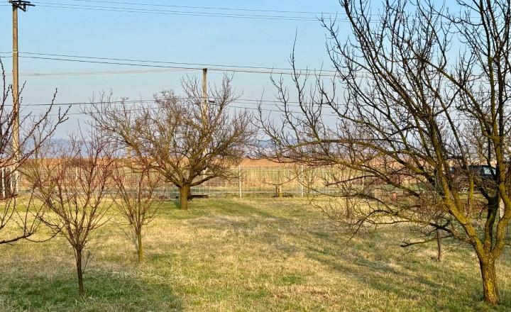 MAĎARSKO - GONC STAVEBNÝ POZEMOK 852 M2, IS NA HRANICI POZEMKU. - fotografia 3