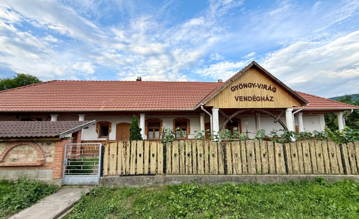 MAĎARSKO - GONC PENZIÓN VHODNÝ AJ NA BÝVANIE V  BLÍZKOSTI SLOVENSKÝCH HRANÍC, VÝBORNÁ INVESTÍCIA. - fotografia 1