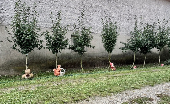 MAĎARSKO - MÁRTONYI - PEKNÝ 4 IZBOVÝ RD V KRÁSNEJ LOKALITE BLÍZKO JAZERA RAKACA. - fotografia 18